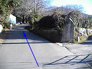 �A�X�t�@���g�̓���i��