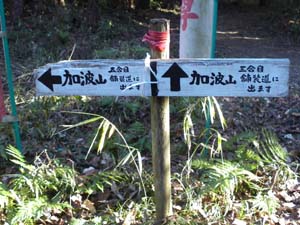 ����̕W��