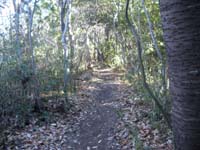 �s����������̓�