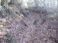 �s����������̓�