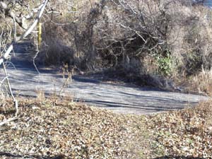 �R���N���[�g�̕ܓ�