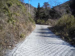 �R���N���[�g�̕ܓ�