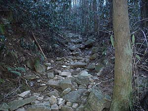 7���ڂ���̎R��