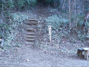 �ѓ������؂��ĎR���͑���