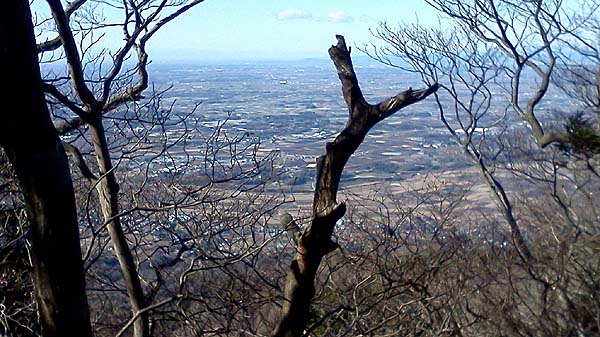 �e�{��{�a���猩���i�F