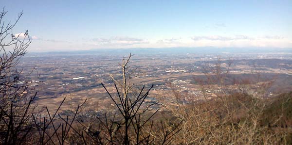 ���{��{�a����̒���