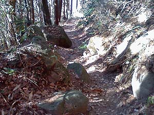 �{�{��q�a����̎R��