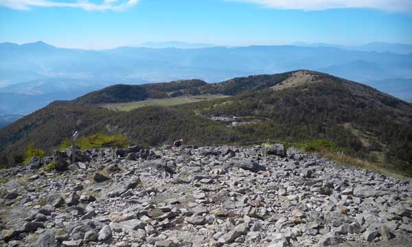 �R������̒���