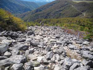 ���}�Ȋ��̓o�R��