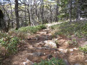 ���邢���R��