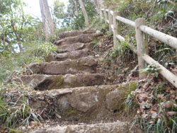 �x���`�����̓o�R��