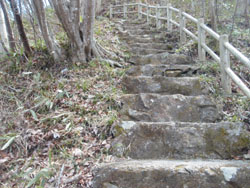 �x���`�����̓o�R��