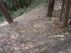 ���\�ȎΖʂ��`