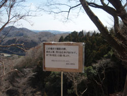 �����t�߂̊Ŕ�