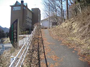 �o�R������̓o�R���B