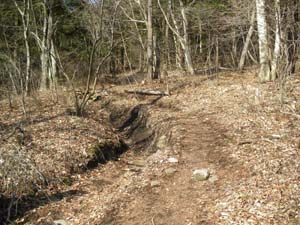 ����ȓ��ɕς�����B