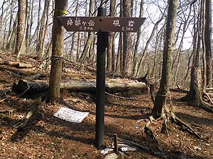 ����̕W��