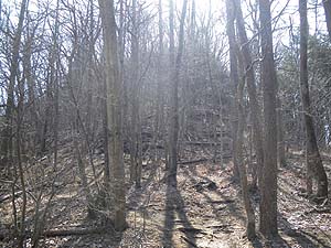 �o�R���͑��Ő^����