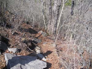 ����ւƖ߂����`