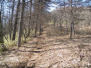 �ɂ₩�ȁA�����ċC�����ǂ���