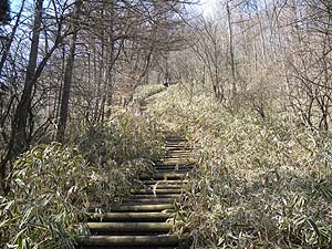 �������ꂽ�ؒi