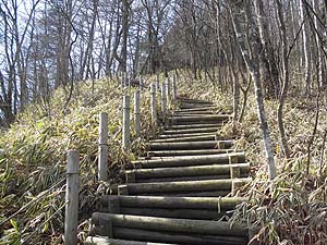 �������ꂽ�ؒi