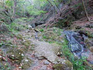 �򉈂��̓o�R��