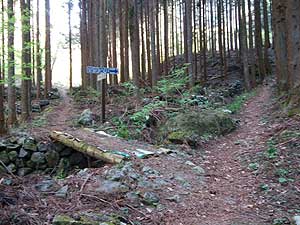 �ŏ��̕���