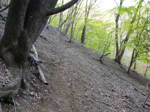 ���R�т̑����ꏊ