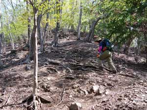 ��V�炩��̓o�R��