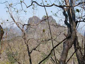 ���x�̗Y�p