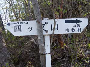 ���̕���