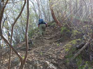 ���򂩂�̓o�R���B