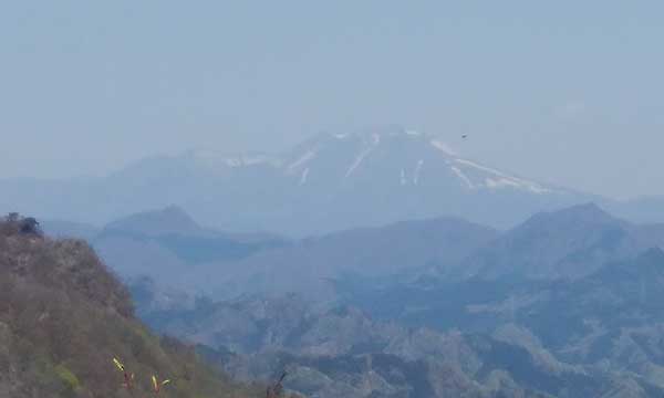 �l�b���R�R������̒��߁B