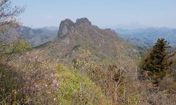 �l�b���R�R������̒��߁B