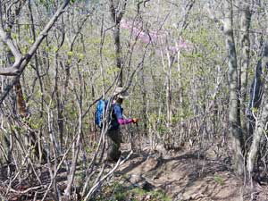 �R������̓�