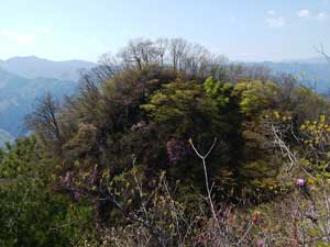 �l�b���R�R��