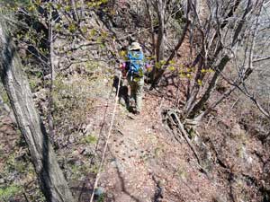 P2����̓o�R����i�ށ`