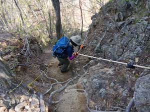 P3����̓o�R����i�ށ`�`