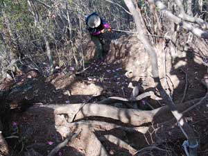 ���\�ȋ}��