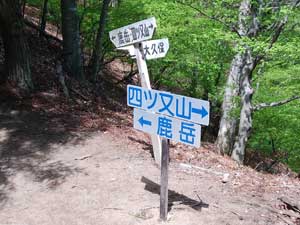 �}���K�^��