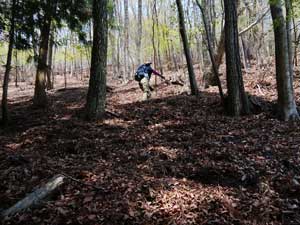 �}���K�^������̓o�R���B