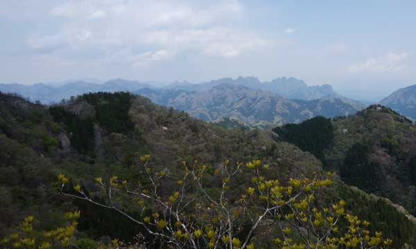 �s�[�N�_����̒���