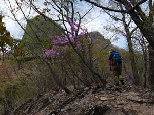 �s�[�N�_����̓o�R��