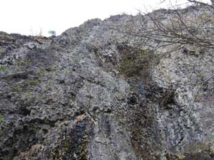 ���\�Ȑ��