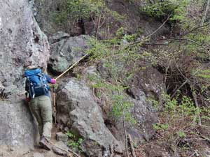 �W������̓o�R���B