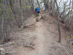 ���򂩂�̔�����