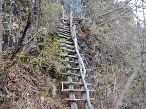 �Âڂ������ؒi