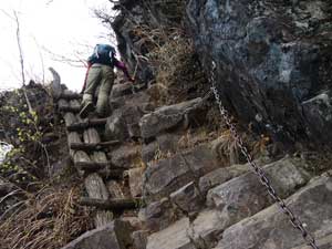 �N�T����