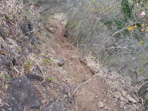 ���R�J�n�`